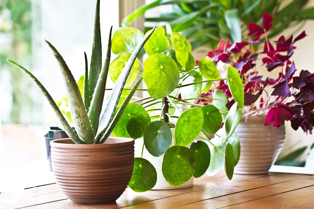 UVH Blog - EASY WAYS TO GET YOUR HOME SUMMER READY
